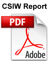 CSIW-Report